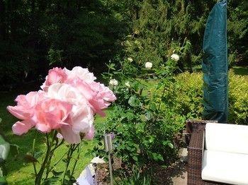 Wald Uessbach Appartement