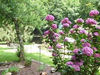 Wald Uessbach *