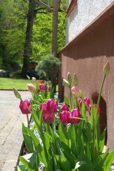 Lejlighed Wald Uessbach